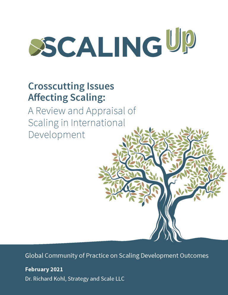 Cover of Crosscutting Issues Affecting Scaling working paper
