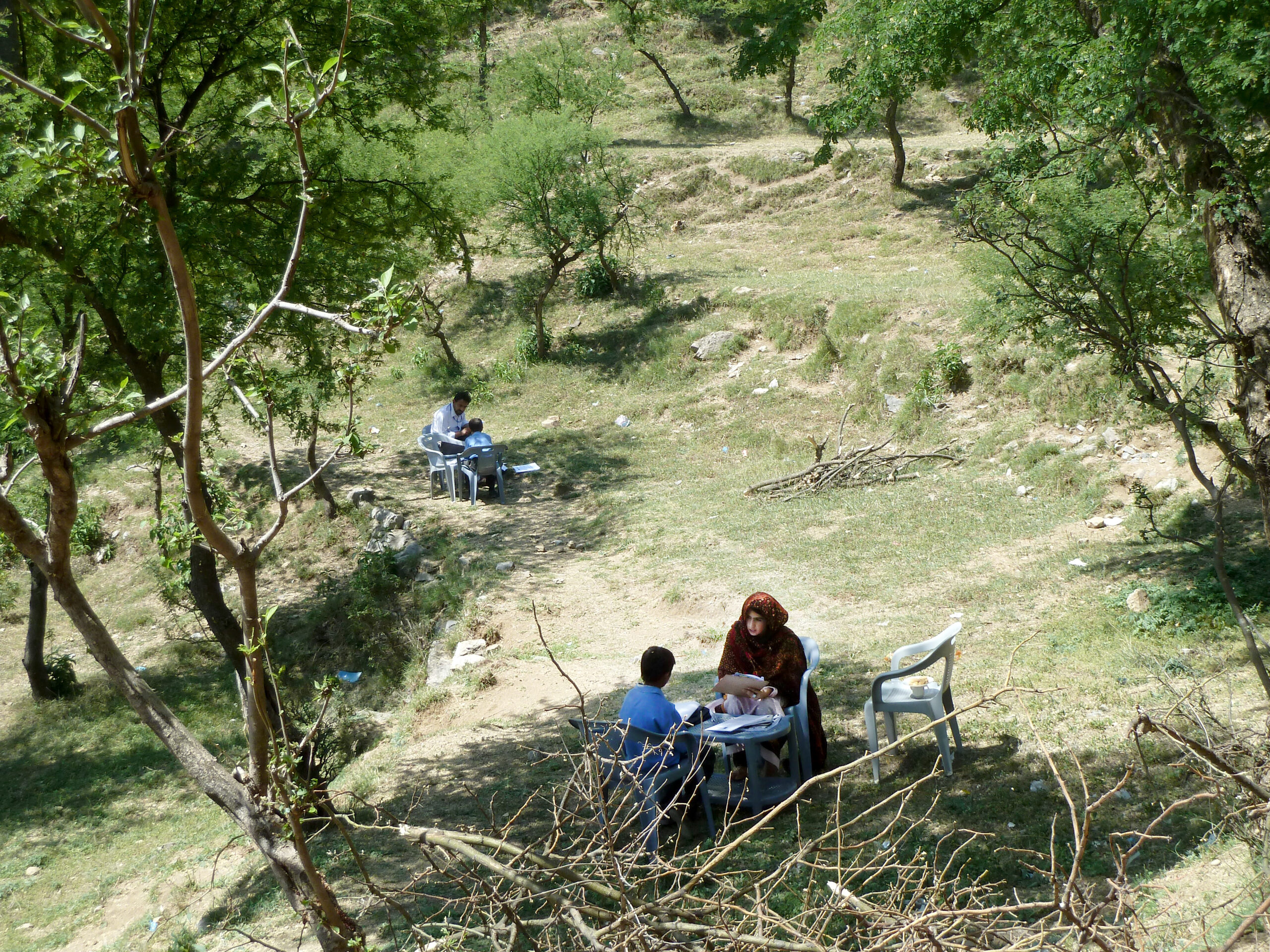 Two sets of adults and children sitting at desks in wooded field.