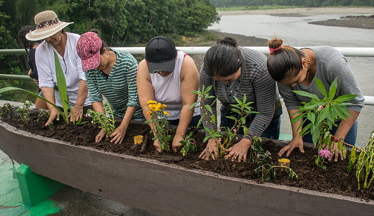 Women planting flowers in Colombia / seeds of peace