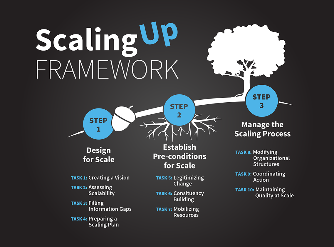 Infographic - Larry Cooley's Scaling Up Framework