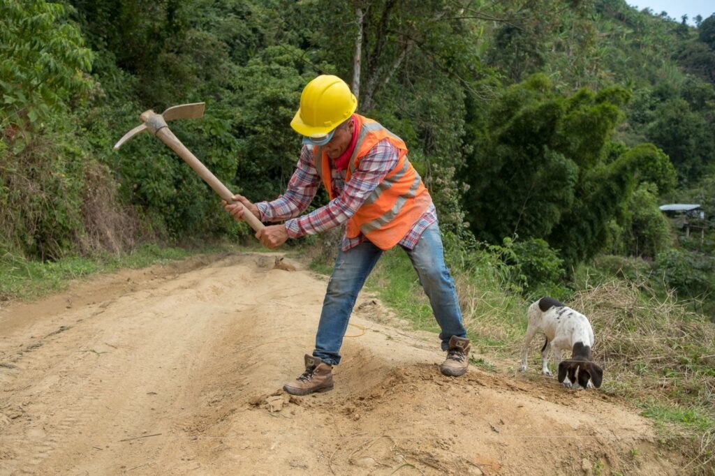 Construction worker using ax on road with goat in background